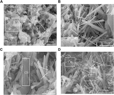 Effects of Different Ion Erosion on the Hydration Mechanism and Microstructure of Nano-Clay Single-Liquid Grouting Material